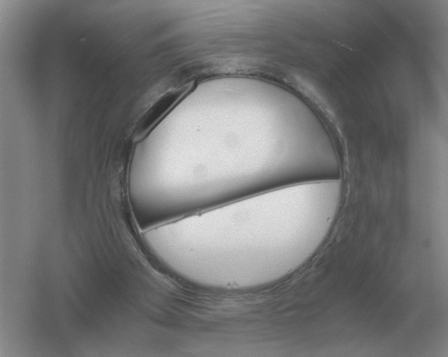 X0000061120105200512022203
