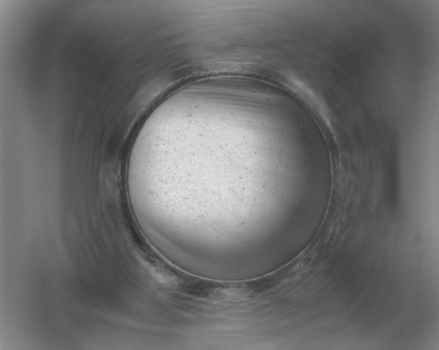 X0000061120107200512022203