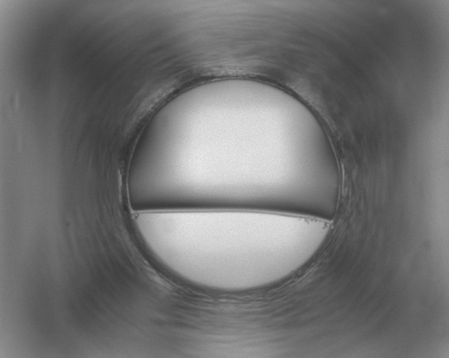 X0000061120109200512022203