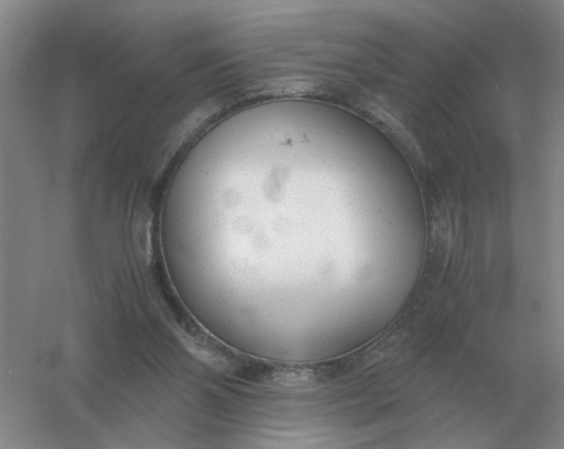 X0000061120110200512022203