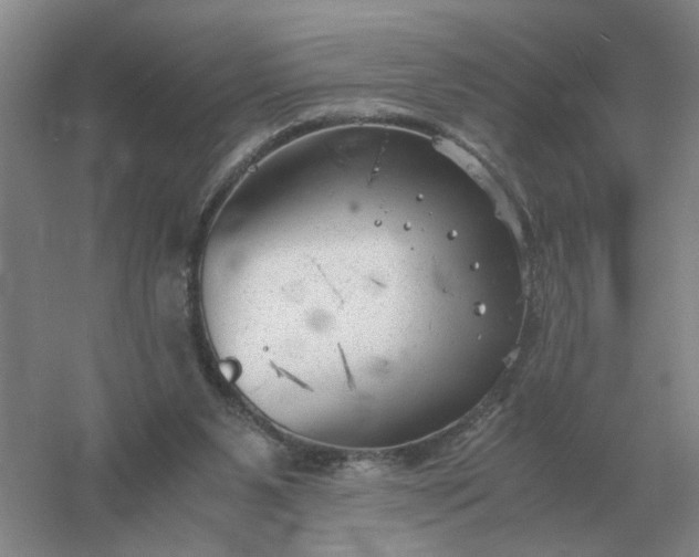 X0000061120111200512022203