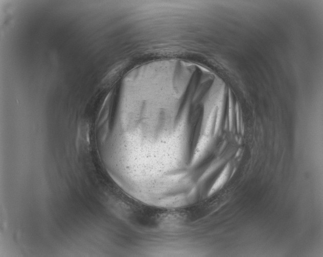X0000061120115200512022203