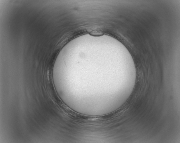 X0000061120117200512022203