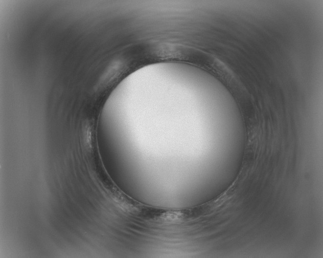 X0000061120124200512022203