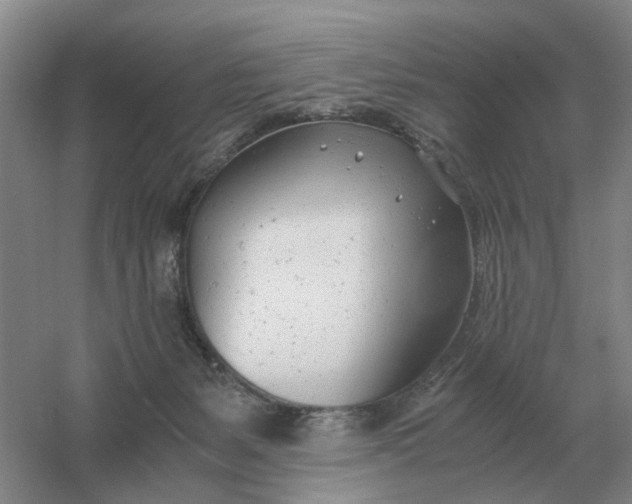 X0000061120127200512022203