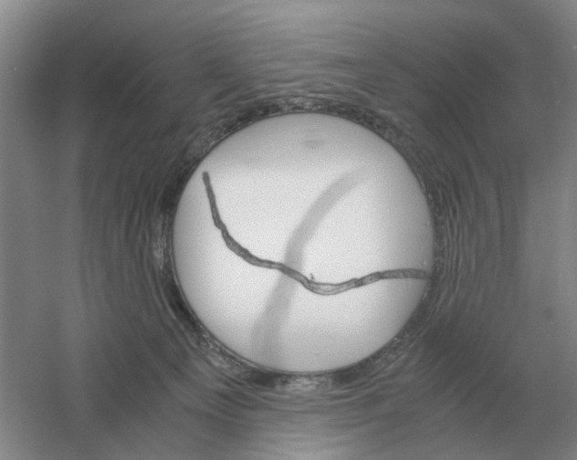 X0000061120129200512022203