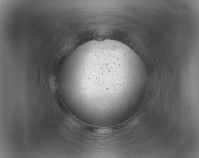 X0000061120135200512022203