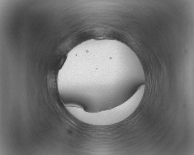 X0000061120137200512022202