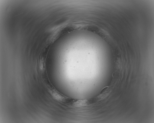 X0000061120138200512022202