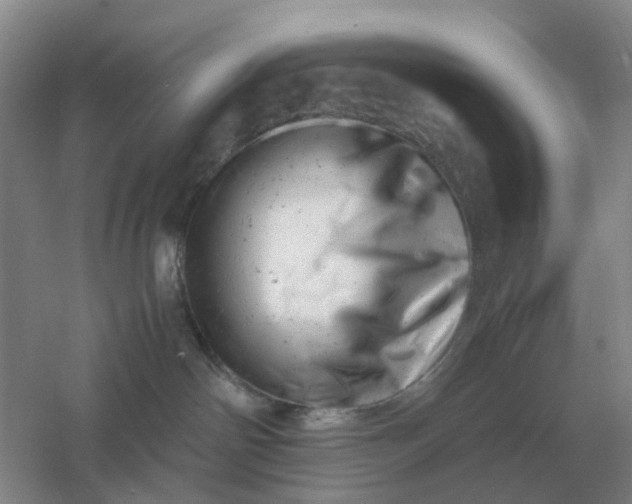 X0000061120142200512022202