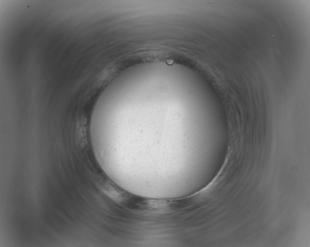 X0000061120144200512022202