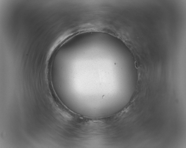 X0000061120150200512022202
