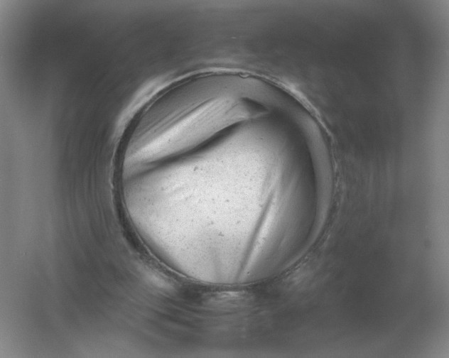 X0000061120151200512022202