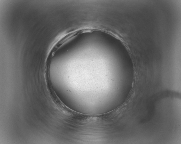 X0000061120152200512022202