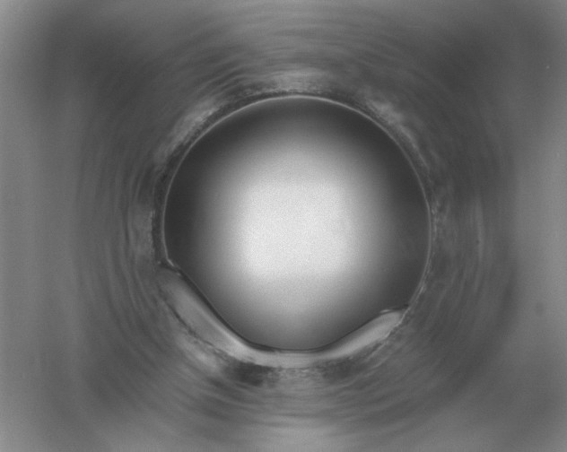X0000061120154200512022202