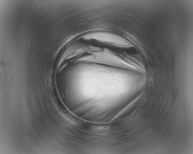 X0000061120155200512022202