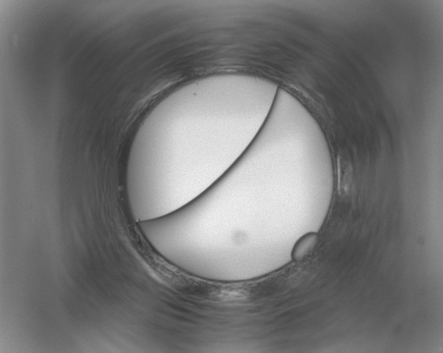 X0000061120157200512022202