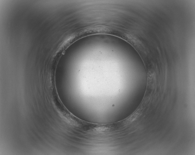X0000061120158200512022202