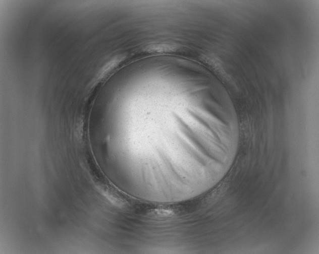X0000061120159200512022202