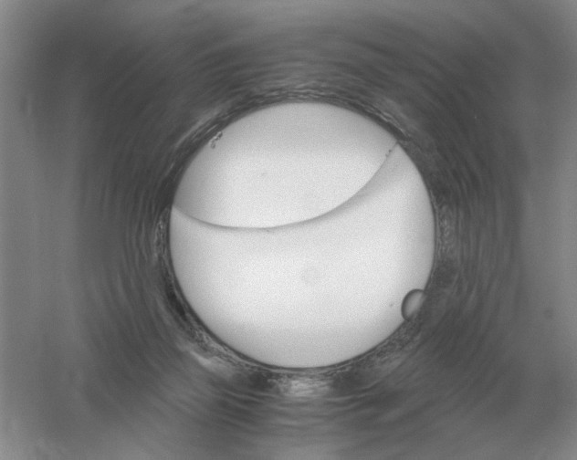 X0000061120165200512022202