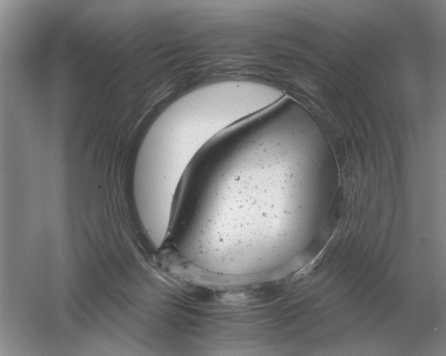 X0000061120171200512022202