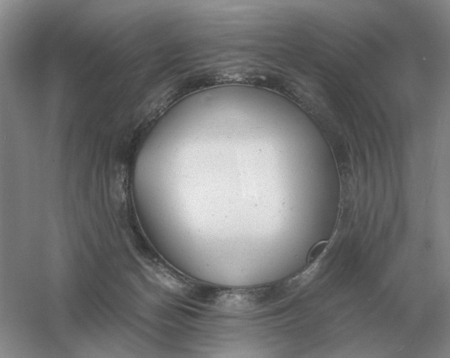X0000061120174200512022202
