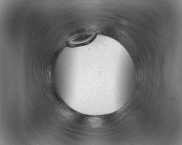 X0000061120183200512022202