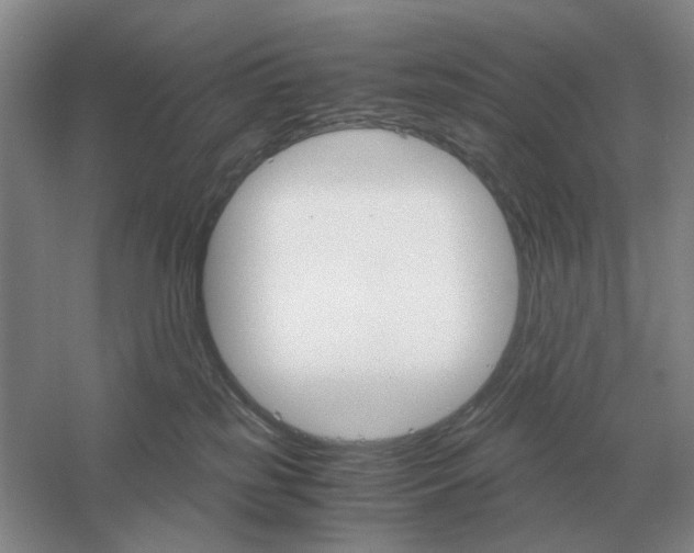 X0000061120185200512022202