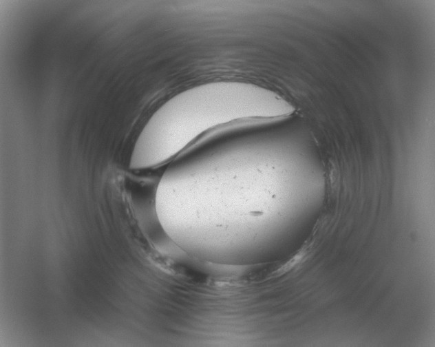 X0000061120188200512022202