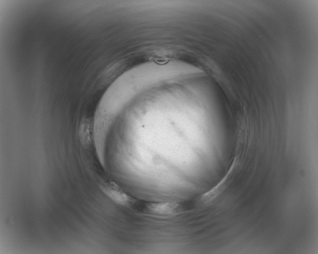X0000061120191200512022202