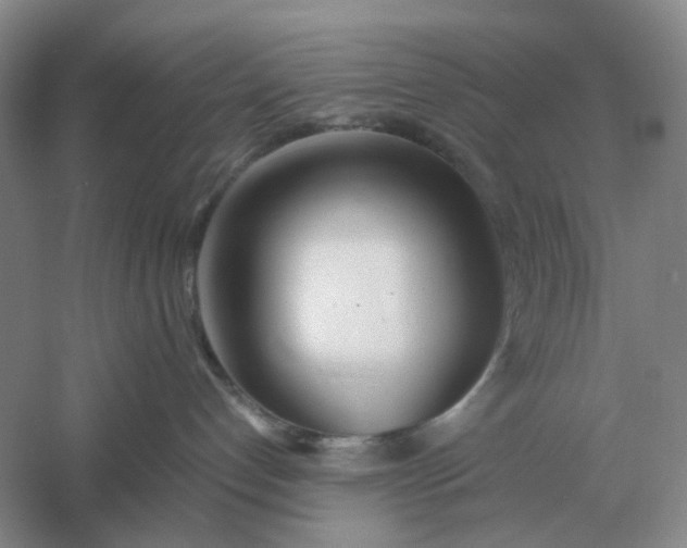 X0000061120192200512022202