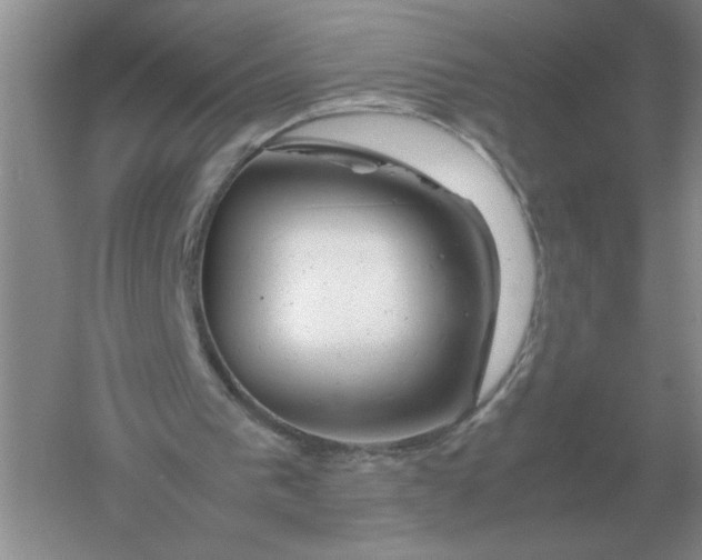 X0000061120193200512022202