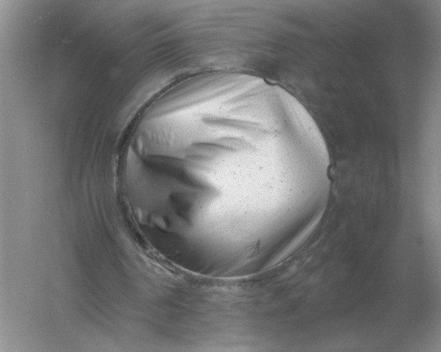 X0000061120194200512022201