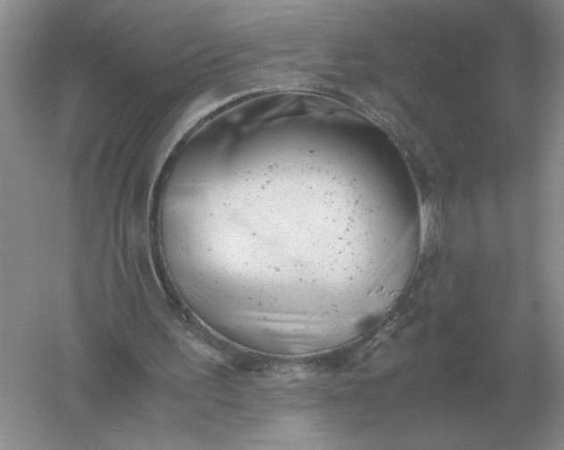 X0000061120195200512022201