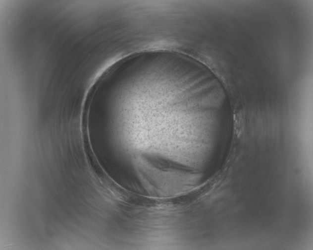 X0000061120196200512022201