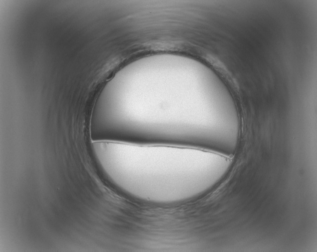 X0000061120201200512022201