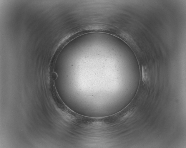 X0000061120204200512022201