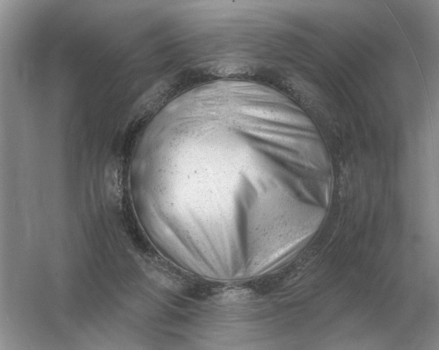 X0000061120210200512022201