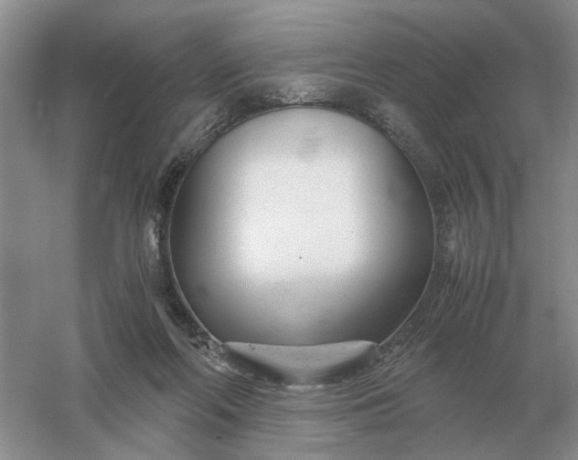 X0000061120214200512022201