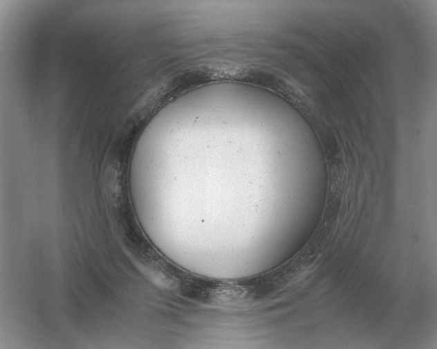 X0000061120215200512022201