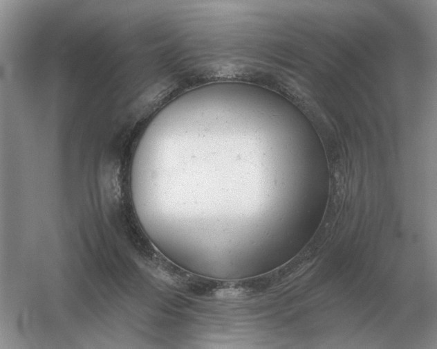 X0000061120216200512022201