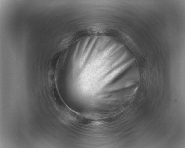 X0000061120218200512022201