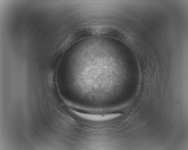 X0000061120219200512022201