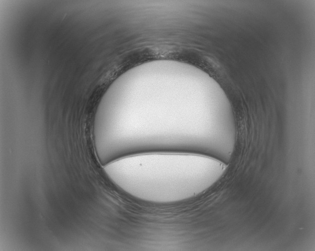 X0000061120221200512022201