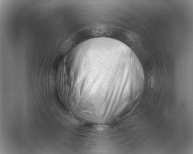 X0000061120226200512022201