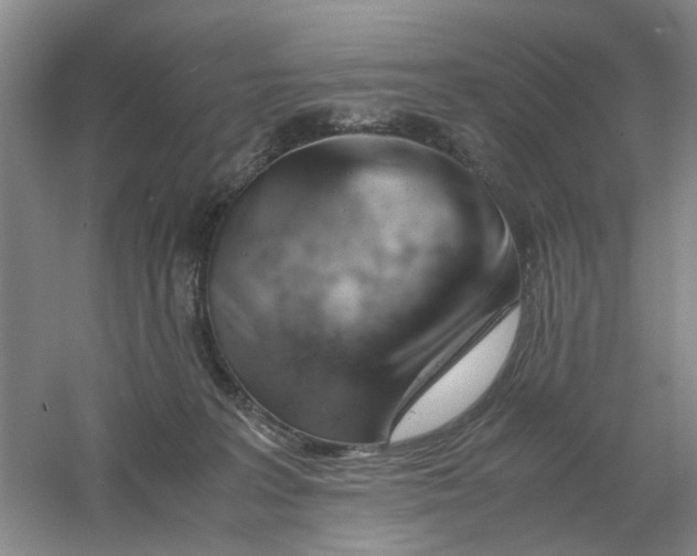 X0000061120227200512022201
