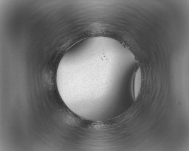 X0000061120228200512022201