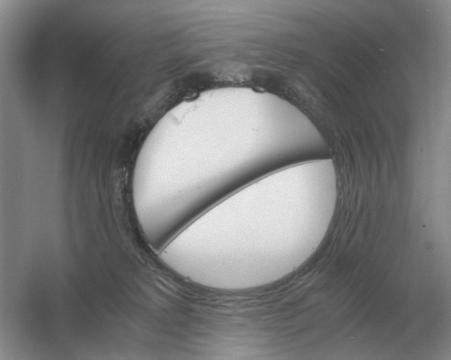 X0000061120229200512022201