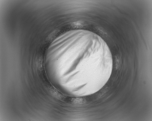 X0000061120230200512022201