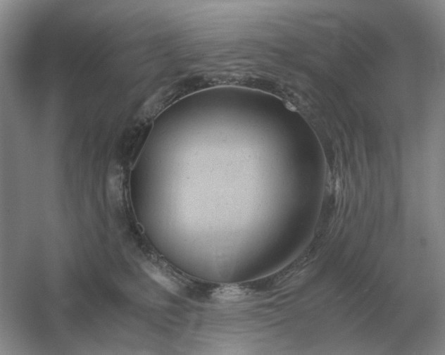 X0000061120231200512022201